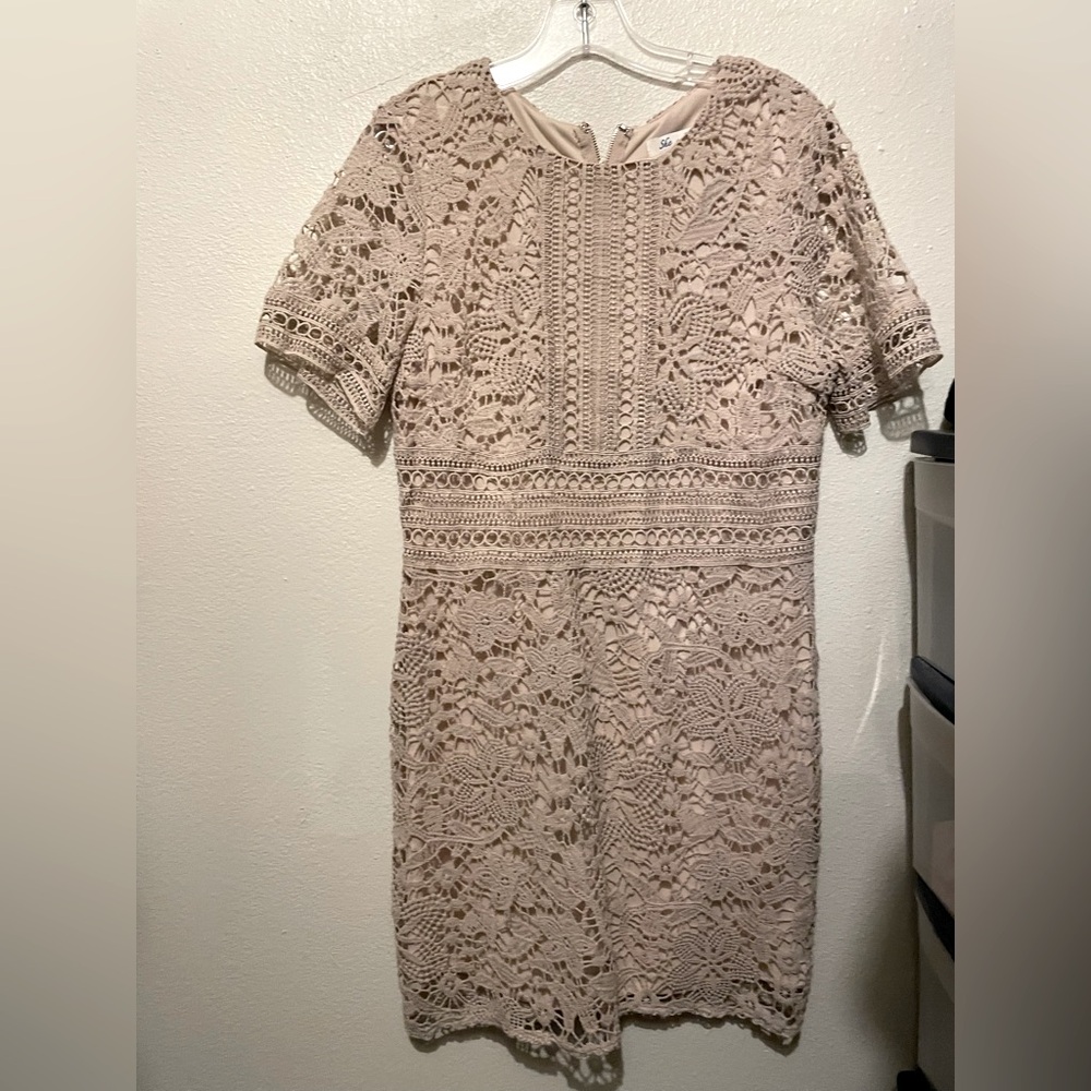 She & Sky Brand Tan Lace Dress with Zipper Back, Size Medium